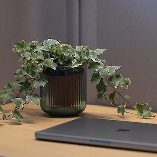 work different und unsere verantwortung für das gemeinwohl